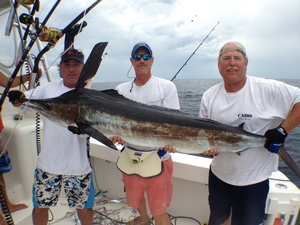 2013 MA 500 White Marlin Release