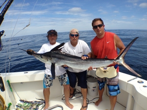 2013 Mid Atlantic 500 White Marlin release