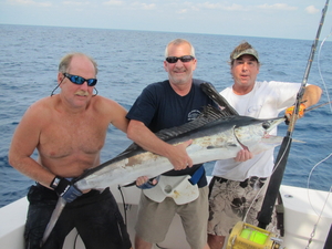 White Marlin Released at Mid Atlantic 500 2012